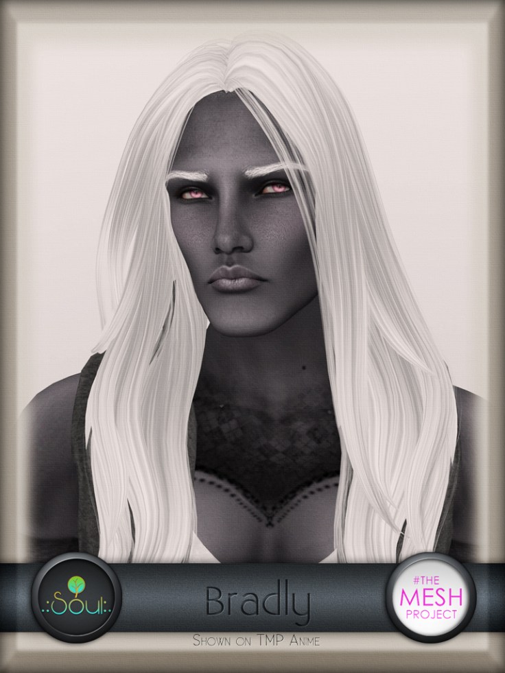 Soul - Bradly - TMP - D2